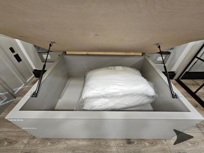2026 Brinkley Model Z - Photo 44