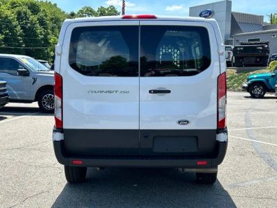 2025 Ford Transit Cargo Van — detail view