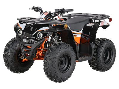 2025 Kayo Bull 110 - Photo 4
