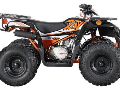 2025 Kayo Bull 110 - Photo 1