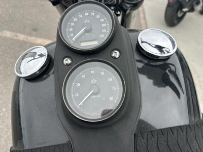 2016 Harley-Davidson FXDLS - Low Rider S - Photo 13
