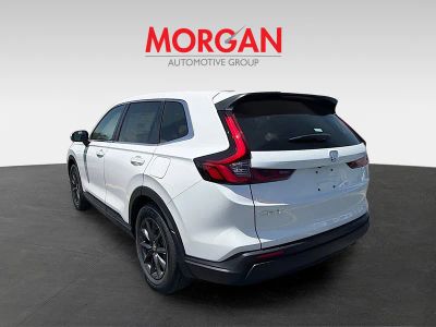 2026 Honda CR-V — detail view