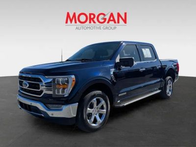 2023 Ford F-150 — photo 7 view