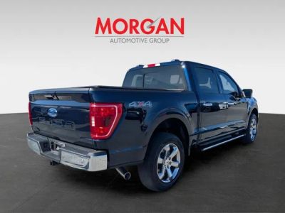 2023 Ford F-150 — rear three-quarter view