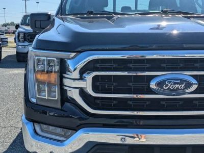 2023 Ford F-150 — photo 9 view