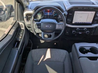 2023 Ford F-150 — photo 14 view