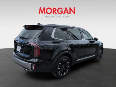 2025 Kia Telluride — detail view