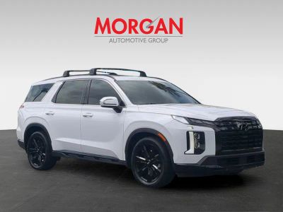 2024 Hyundai Palisade — side profile view