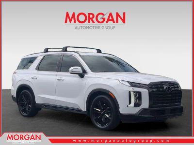 2024 Hyundai Palisade XRT in White — front three-quarter view