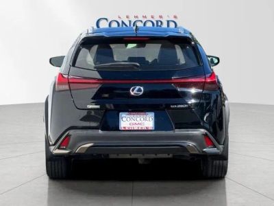 2020 Lexus UX — detail view