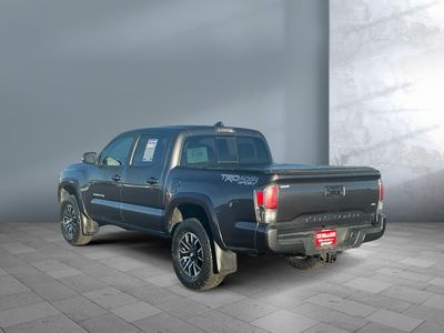 2023 Toyota Tacoma - Photo 4