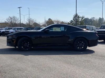 2026 Ford Mustang - Photo 6