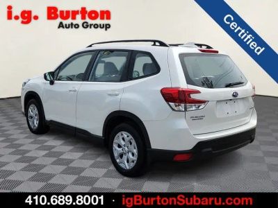 2023 Subaru Forester — interior view