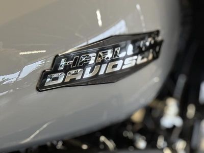 2026 Harley-Davidson FLTRX - Road Glide - Photo 22
