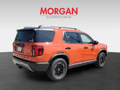 2026 Honda Passport — photo 7 view