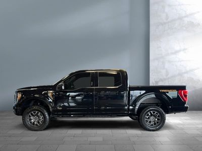 2023 Ford F-150 — detail view
