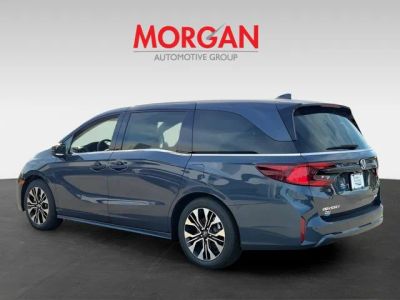 2026 Honda Odyssey — detail view