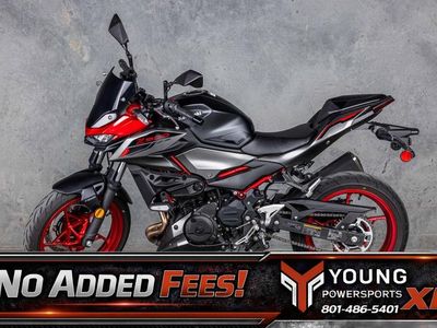 2025 Kawasaki Z500 SE ABS - Photo 1