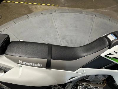 2026 Kawasaki KLX300 - Photo 10