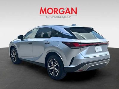 2025 Lexus RX — detail view