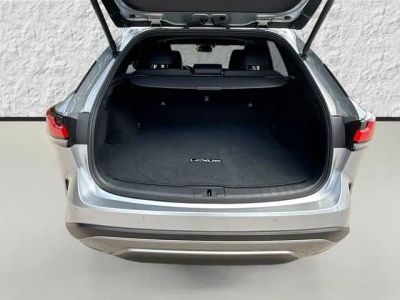 2025 Lexus RX — photo 12 view