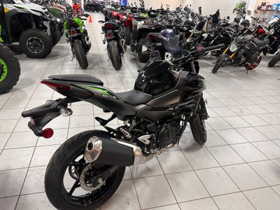 2025 Kawasaki Z500 ABS - Photo 4