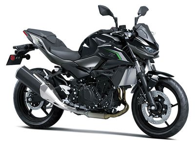 2025 Kawasaki Z500 ABS - Photo 13