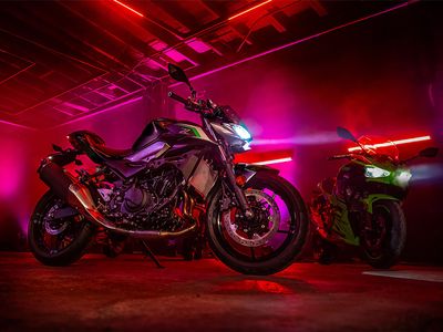 2025 Kawasaki Z500 ABS - Photo 21