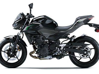 2025 Kawasaki Z500 ABS - Photo 12