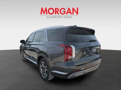 2023 Hyundai Palisade — detail view