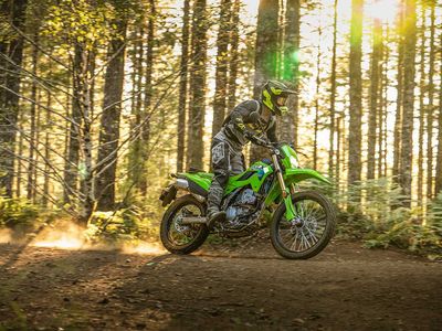 2026 Kawasaki KLX300 - Photo 7