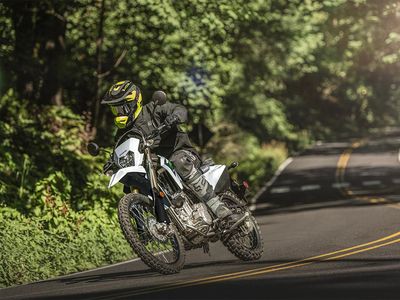 2026 Kawasaki KLX300 - Photo 8