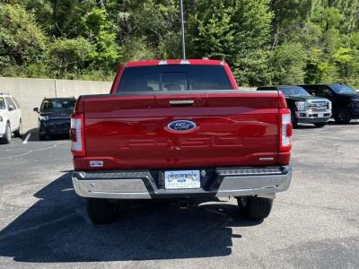 2023 Ford F-150 — detail view