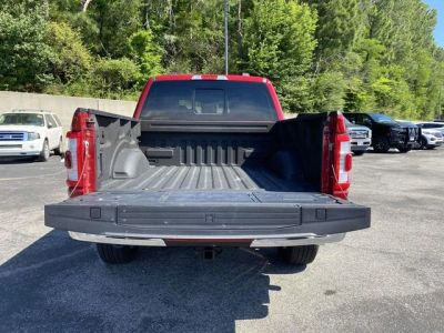 2023 Ford F-150 — photo 12 view