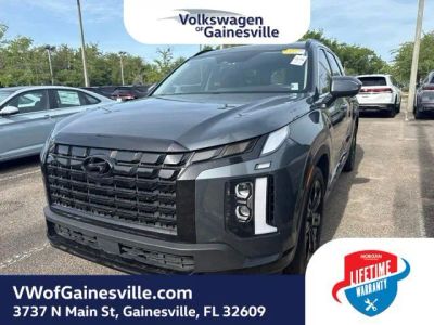2025 Hyundai Palisade — side profile view