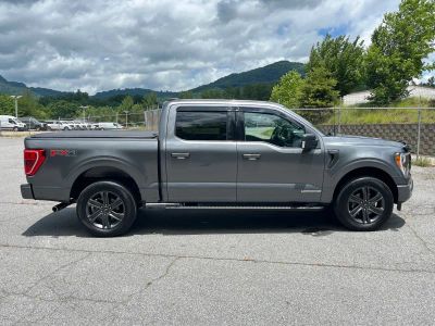 2023 Ford F-150 — side profile view