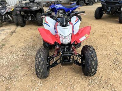 2026 Honda TRX250X - Photo 11