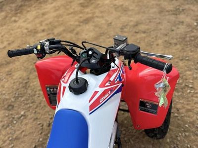 2026 Honda TRX250X - Photo 6