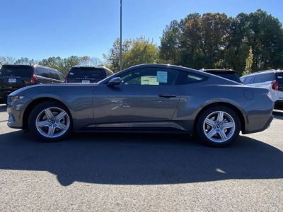 2026 Ford Mustang — photo 16 view