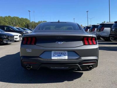 2026 Ford Mustang — photo 14 view