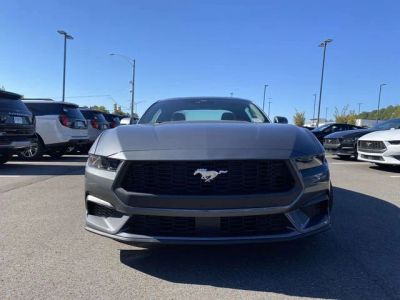 2026 Ford Mustang — photo 18 view