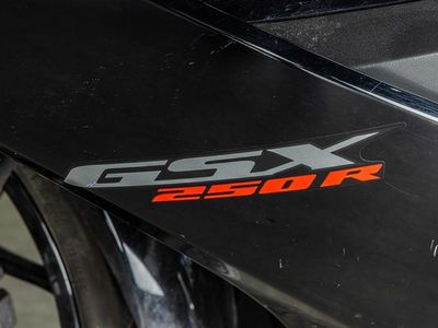2018 Suzuki GSX250R - Photo 18