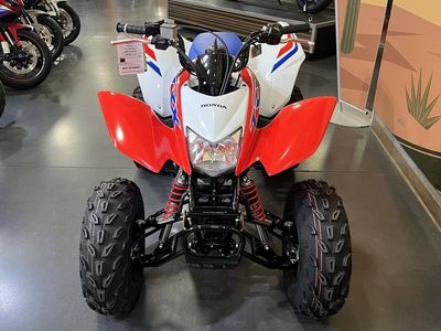 2026 Honda TRX250X - Photo 3
