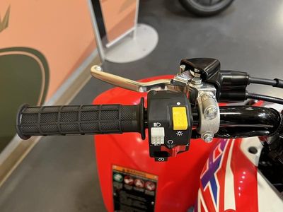 2026 Honda TRX250X - Photo 8