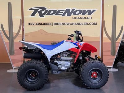 2026 Honda TRX250X - Photo 1