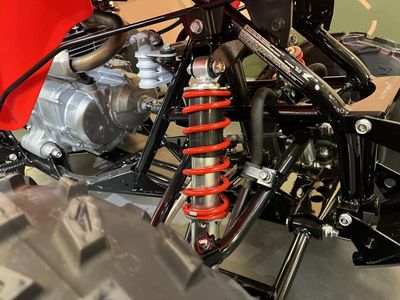 2026 Honda TRX250X - Photo 12