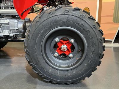 2026 Honda TRX250X - Photo 11