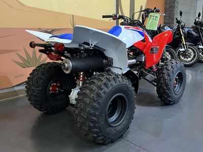 2026 Honda TRX250X - Photo 4