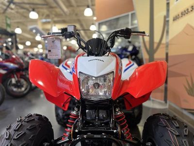 2026 Honda TRX250X - Photo 16