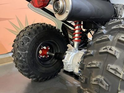 2026 Honda TRX250X - Photo 15